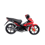 MOTO CABALLITO SHINERAY XY125-30A-ROJO - Imagen 4