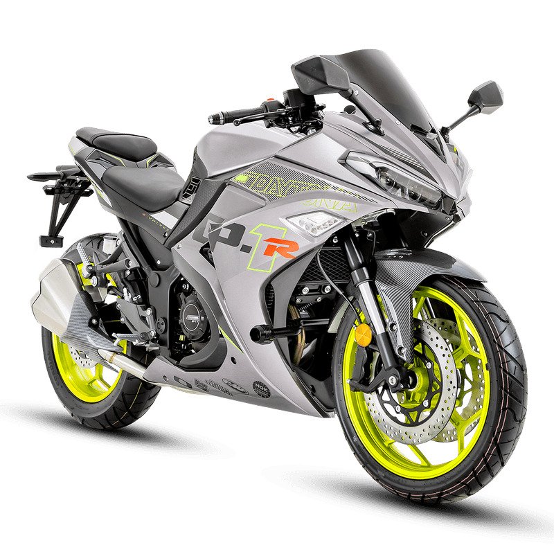 MOTO DAYTONA DY250 GP-1 R PLOMO.1 MOTO DAYTONA DY250 GP-1 R PLOMO - Imagen 1