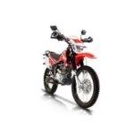MOTO DAYTONA DY250 SCORPION ROJO BI