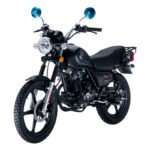 MOTO SHINERAY PANA GN-X170 CADENILLA NEGRO - Imagen 4