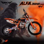 MOTO SKY RIDER ALFA PRO 300 4 VALVULAS ANARANJADO