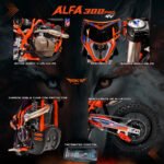 MOTO SKY RIDER ALFA PRO 300 4 VALVULAS ANARANJADO - Imagen 5