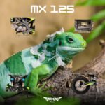 MOTO SKY RIDER MX125 VERDE LIMON - Imagen 5