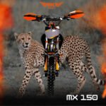 MOTO SKY RIDER MX150 NARANJA/VERDE - Imagen 2