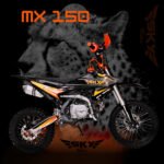 MOTO SKY RIDER MX150 NARANJA/VERDE - Imagen 3