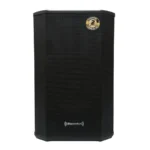 PARLANTE BAZZUKA BZK B 308 PRO 100 WATTS RMS/BT/USB