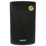 PARLANTE BAZZUKA P 315 W PROFESIONAL 500WATTS RMS BT/U