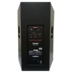 PARLANTE BAZZUKA P 315 W PROFESIONAL 500WATTS RMS BT/U - Imagen 4
